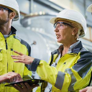 Ladders, Scaffolding, Lifts and Fall Protection